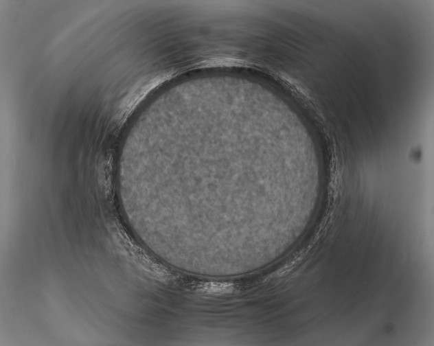 X0000115391313200912011219