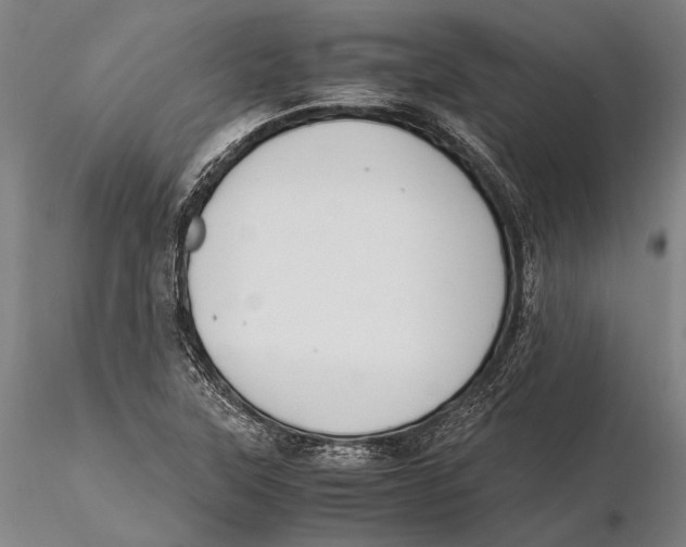 X0000115391315200912011219