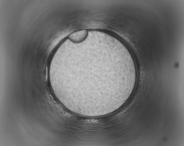 X0000115391317200912011219