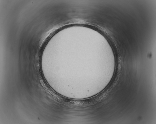 X0000115391318200912011219