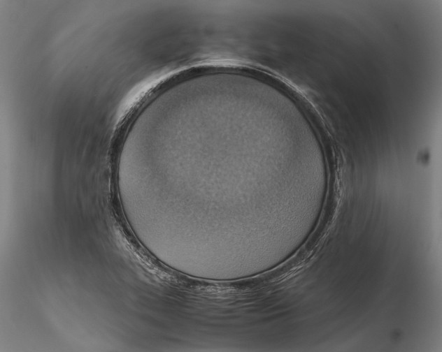 X0000115391319200912011219