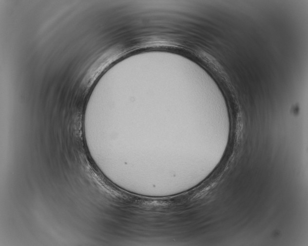 X0000115391321200912011219