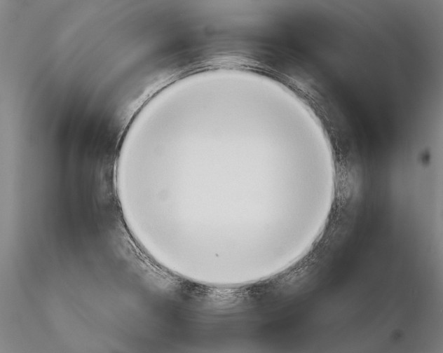 X0000115391322200912011219