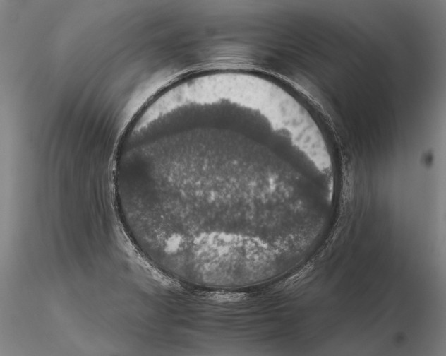 X0000115391325200912011219