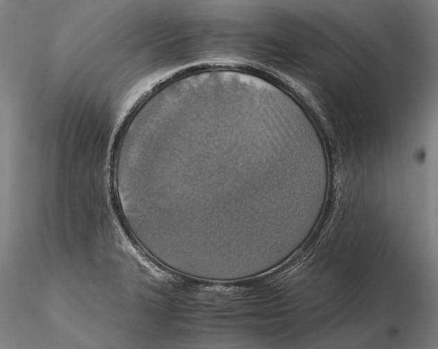 X0000115391327200912011219