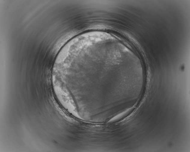 X0000115391329200912011219