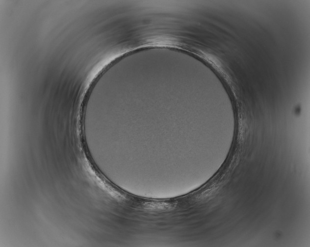 X0000115391331200912011219