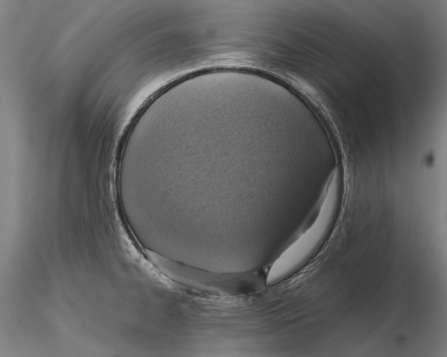 X0000115391334200912011220