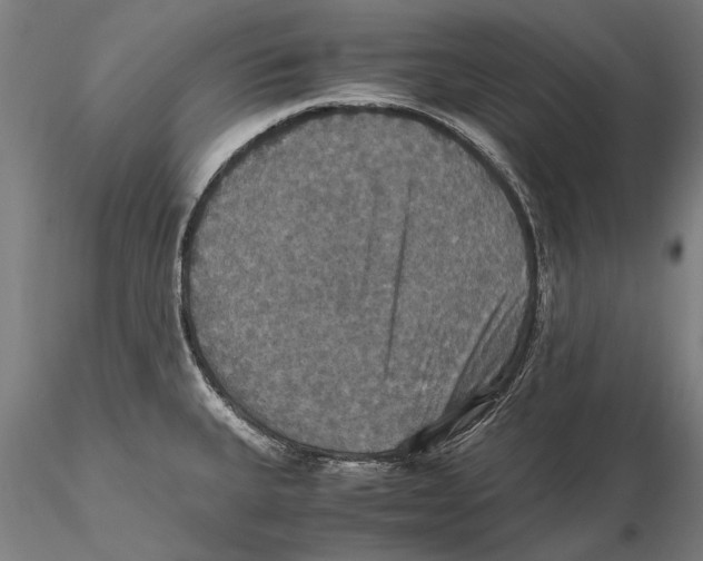 X0000115391335200912011220