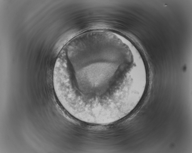 X0000115391337200912011220