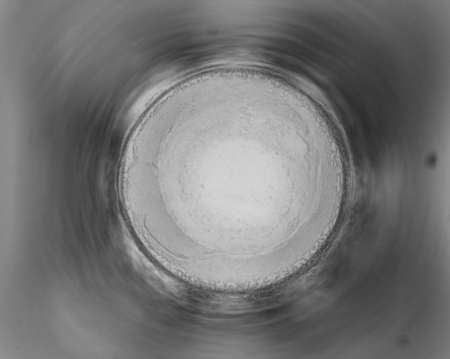 X0000115391338200912011220