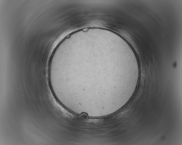 X0000115391339200912011220