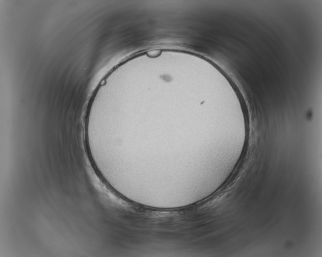 X0000115391341200912011220