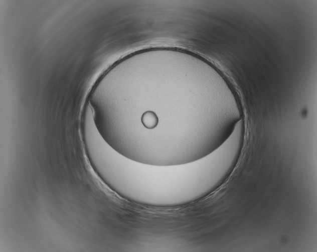 X0000115391342200912011220