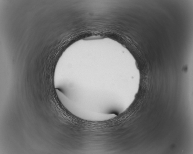 X0000115391345200912011219