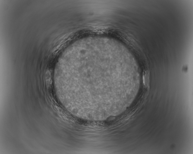 X0000115391347200912011219