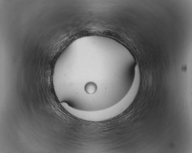 X0000115391348200912011219