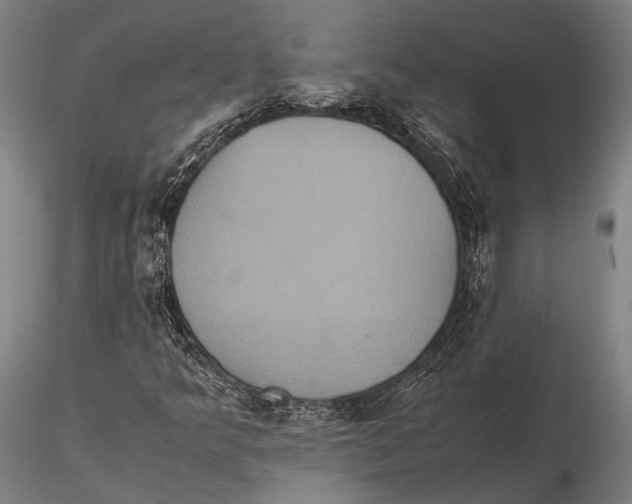 X0000115391349200912011219