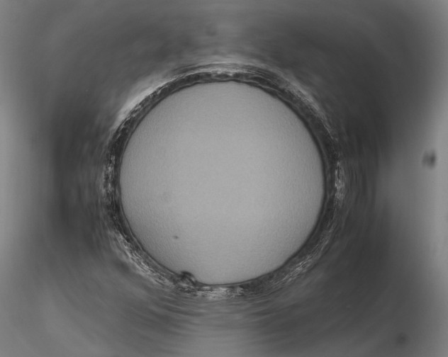 X0000115391352200912011219