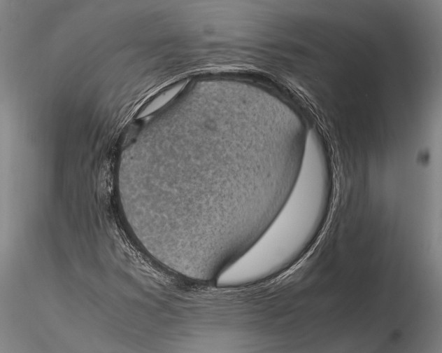 X0000115391353200912011219