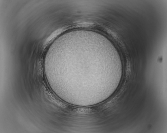 X0000115391354200912011219