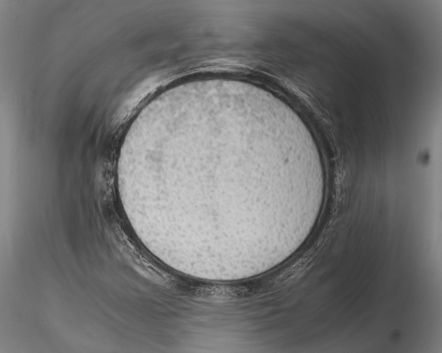 X0000115391355200912011219