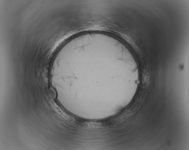 X0000115391356200912011219