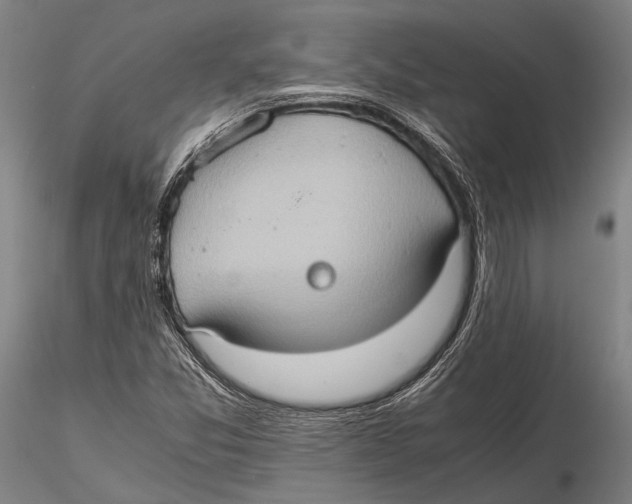 X0000115391357200912011219