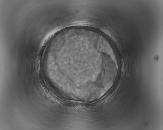 X0000115391358200912011219