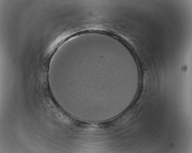 X0000115391359200912011219