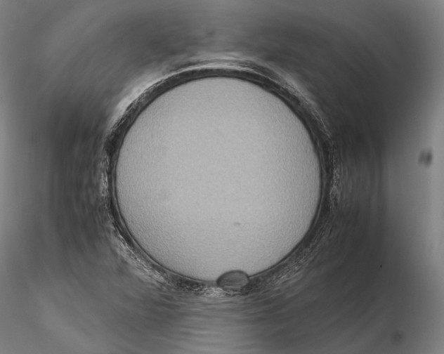 X0000115391360200912011219