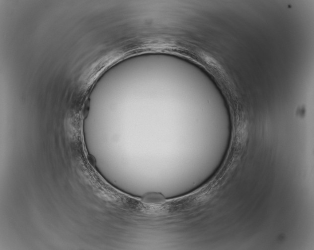 X0000115391361200912011219