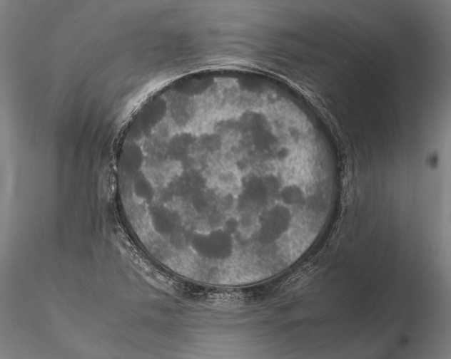 X0000115391363200912011219