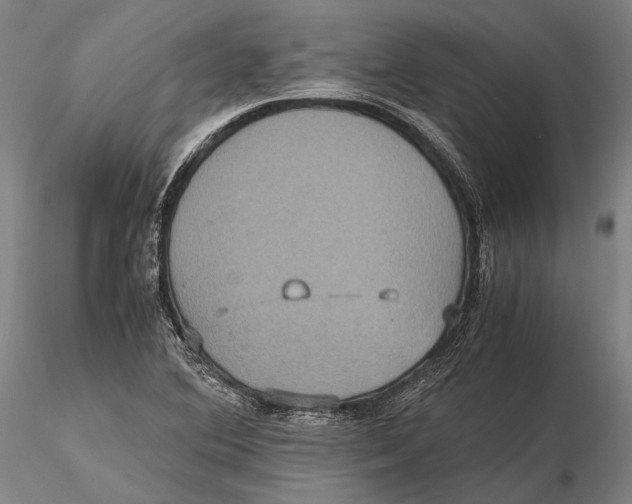 X0000115391364200912011219