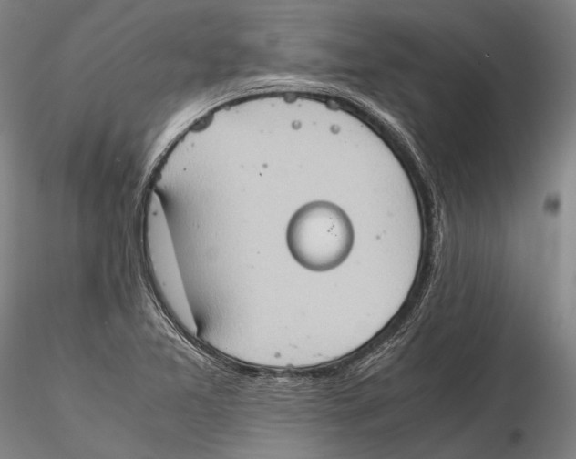 X0000115391365200912011219