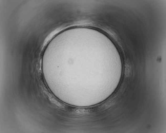 X0000115391366200912011219