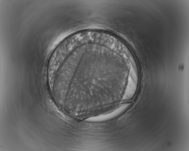 X0000115391367200912011219