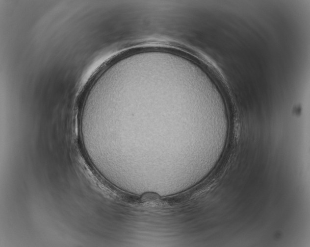 X0000115391368200912011219