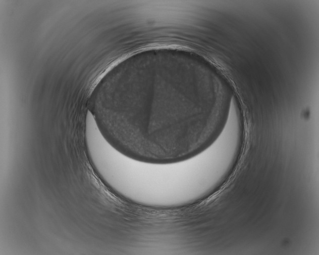 X0000115391369200912011219