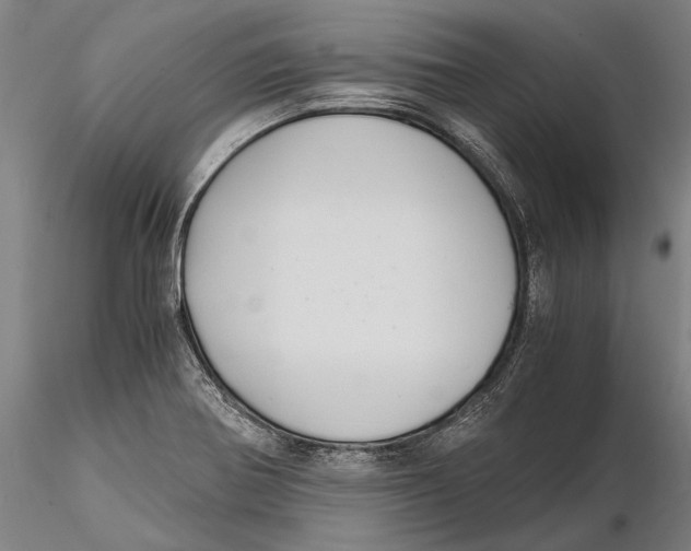 X0000115391370200912011219