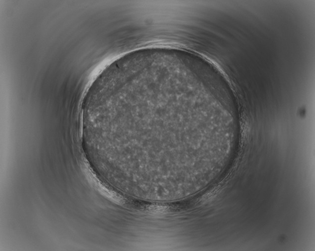 X0000115391371200912011219