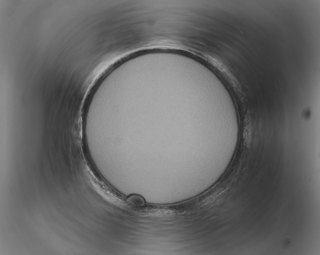 X0000115391372200912011219