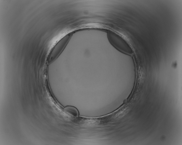 X0000115391373200912011219