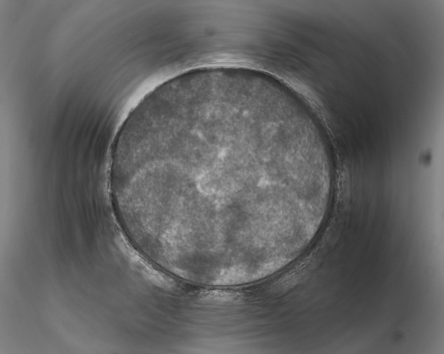 X0000115391374200912011219