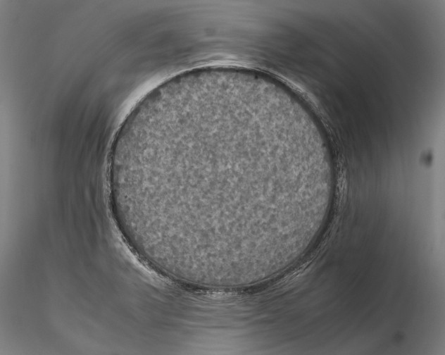 X0000115391375200912011219