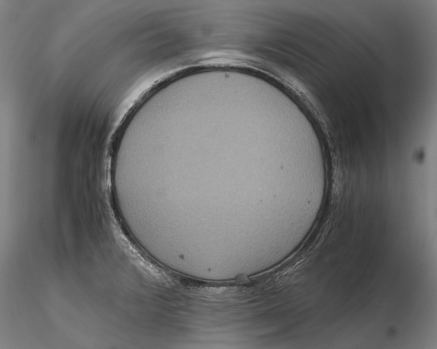 X0000115391376200912011219