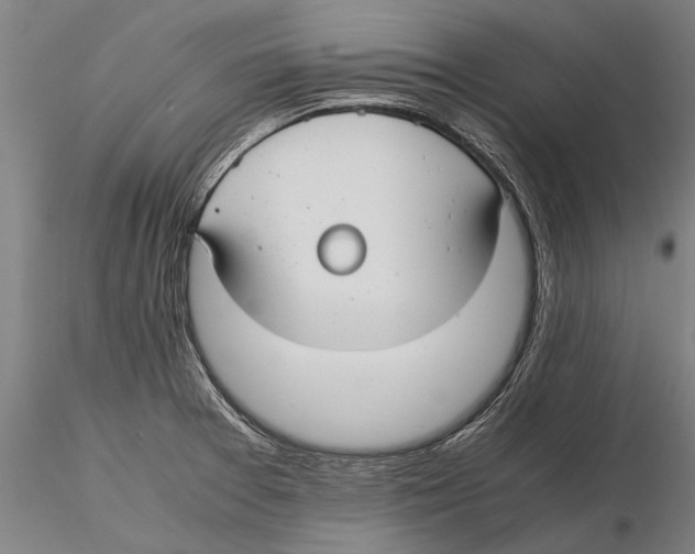 X0000115391377200912011219