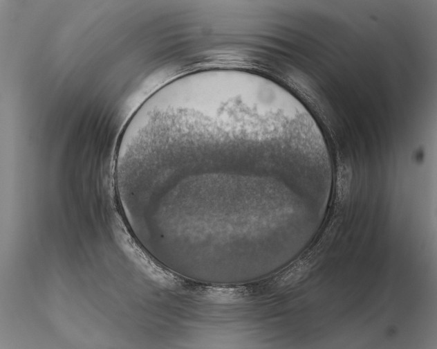 X0000115391378200912011219