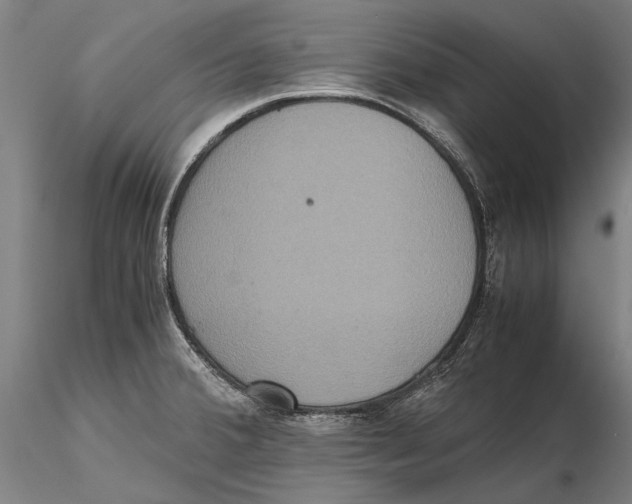 X0000115391380200912011219