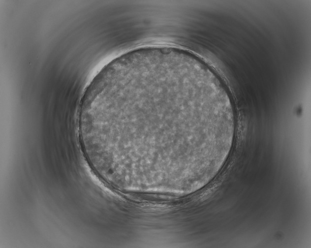 X0000115391382200912011218